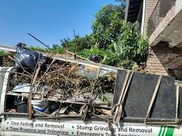 Best Basement Cleanout  in Ashland, AL